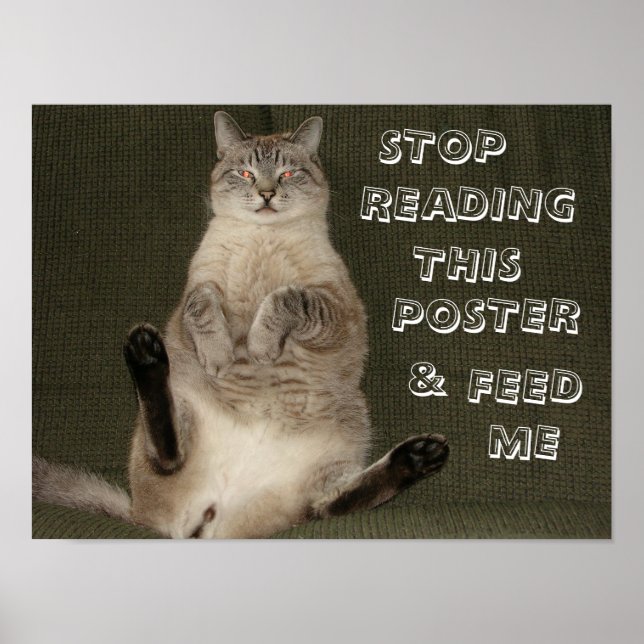 Chat "Arrêtez de lire cette affiche et de me nourr (Devant)