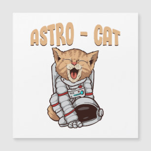 Chat Astro