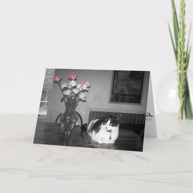Chat aux roses roses roses Carte d'anniversaire (Devant)