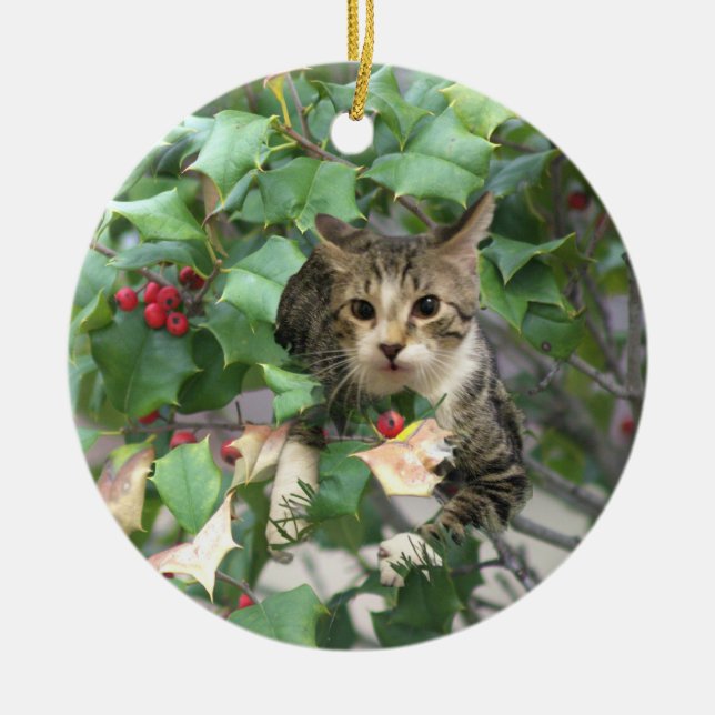 Chat avec Berries Holly Ornement (Devant)
