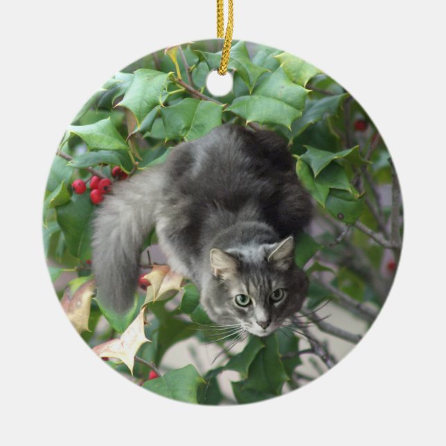 Chat avec Berries Holly Ornement (Devant)