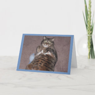 Chat Avec Carte D'Anniversaire Tude