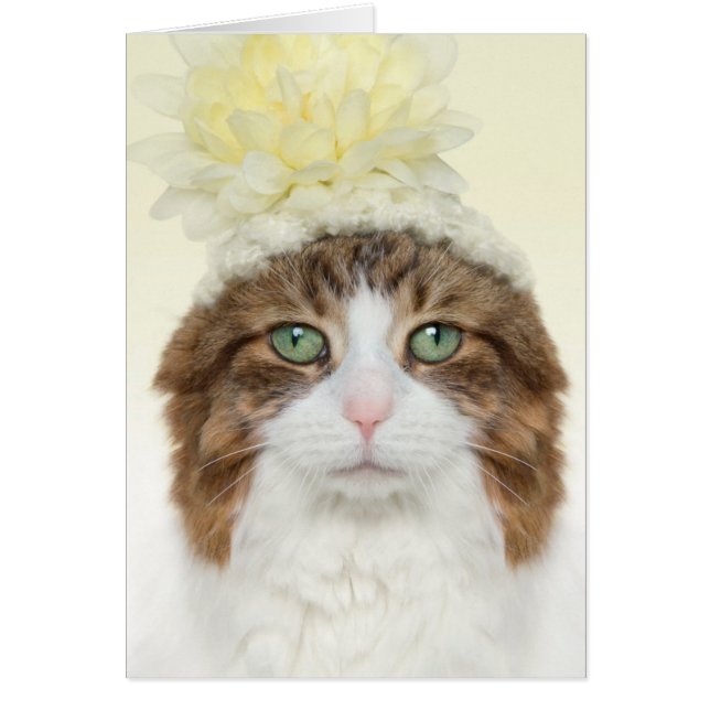 Chat Avec Casquette Fleur (Devant)