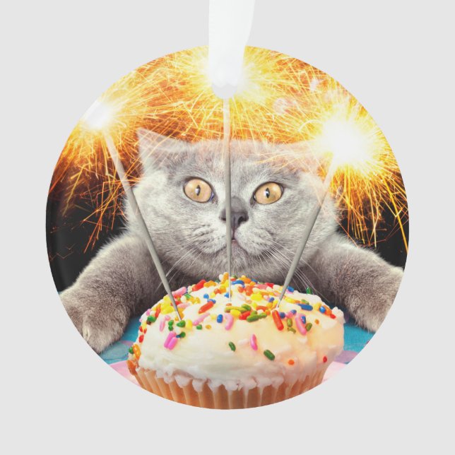 Chat Avec Cupcake Sparkler (devant)