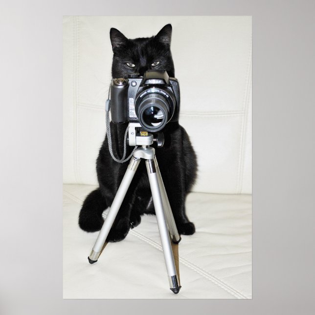 Chat avec l'appareil photo - affiche (Devant)