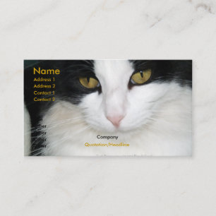 Chat avec le carte de visite d'or de yeux