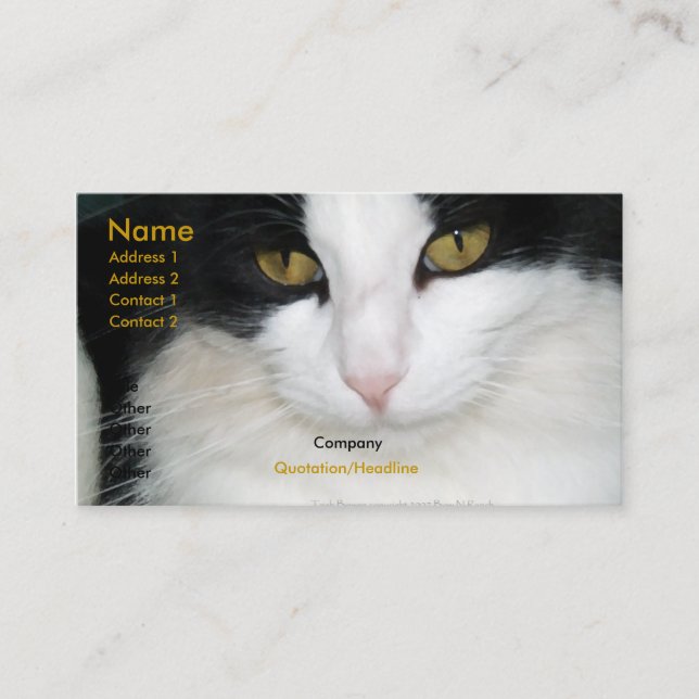 Chat avec le carte de visite d'or de yeux (Devant)