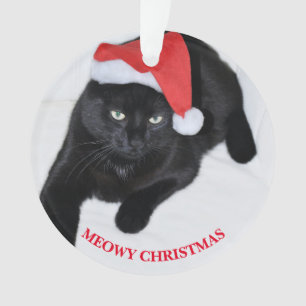 Chat avec le casquette rouge de Père Noël