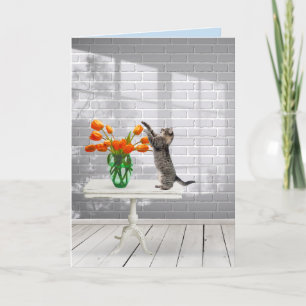 Chat avec Orange Tulips Obtenez une carte de bien