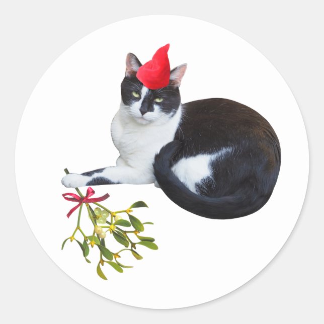 Chat avec Stickers Mistletoe (Devant)