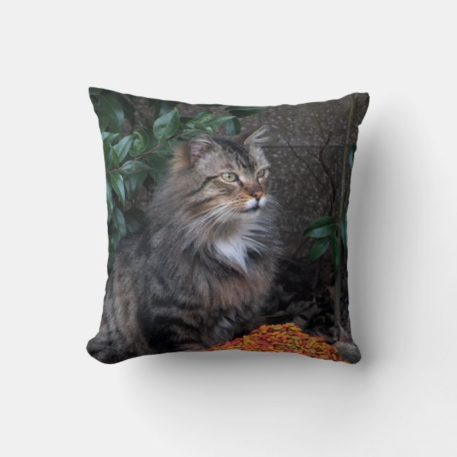 Chat avec un coussin reconnaissant de coeur (Recto)