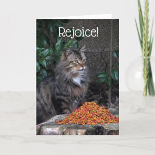 Chat avec une carte de miracle de Pâques