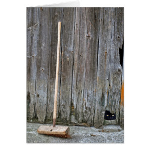 Chat avec Vielle Barne