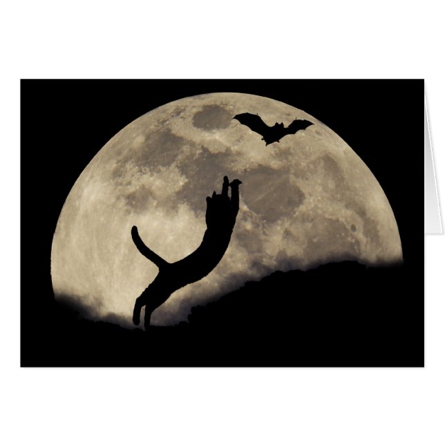 Chat Bat Moon (Devant horizontal)