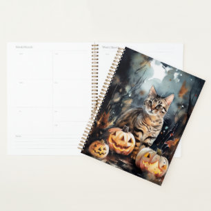 Chat Bengal Halloween Avec Citrouilles Effrayant