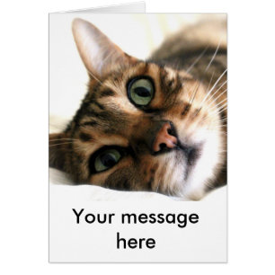 Chat Bengale mignon dans le lit Carte personnalisé