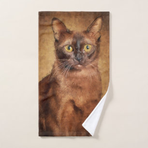Chat birman Brown