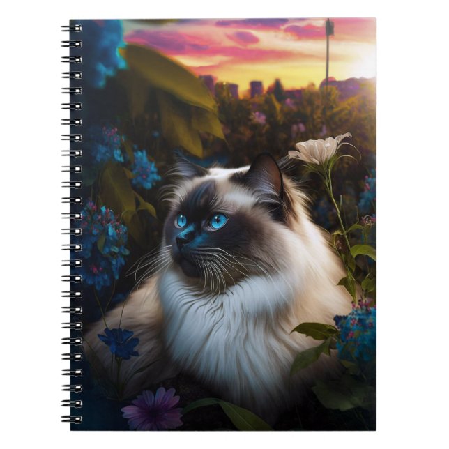 Chat Birman dans le jardin de la ville au Carnet S (Devant)