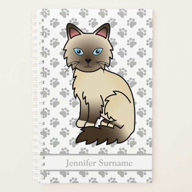 Chat Birman/ Ragdoll pointe chocolat et pattes & T (Devant)