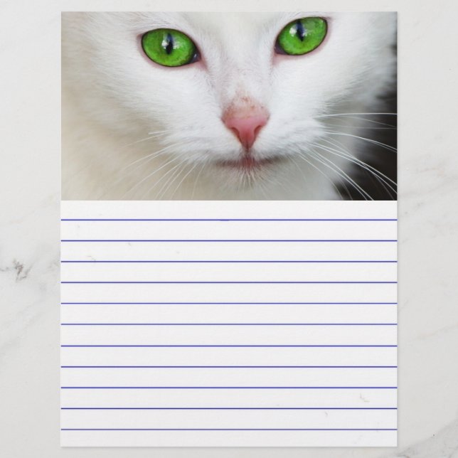 Chat blanc à l'oeil vert (Devant)