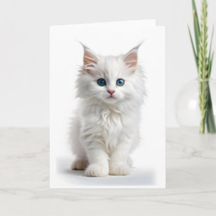 Chat blanc à poil long et yeux bleus - Carte vierg