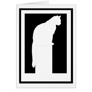 Chat blanc encadré de silhouette