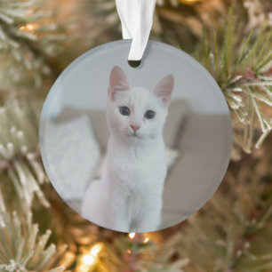 chat blanc   Zazzle_Growshop.