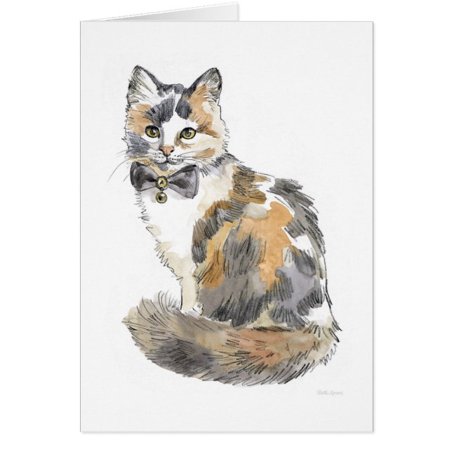Chat Calico Fancy (Devant)