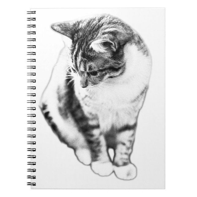 Chat Calme Vue vers le bas Carnet Portrait (Devant)