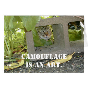 Chat Camouflage