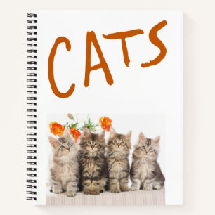 Chat Carnet spirale