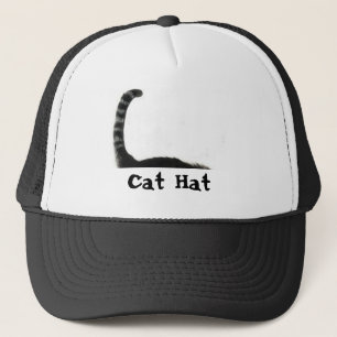 chat, Casquette de chat