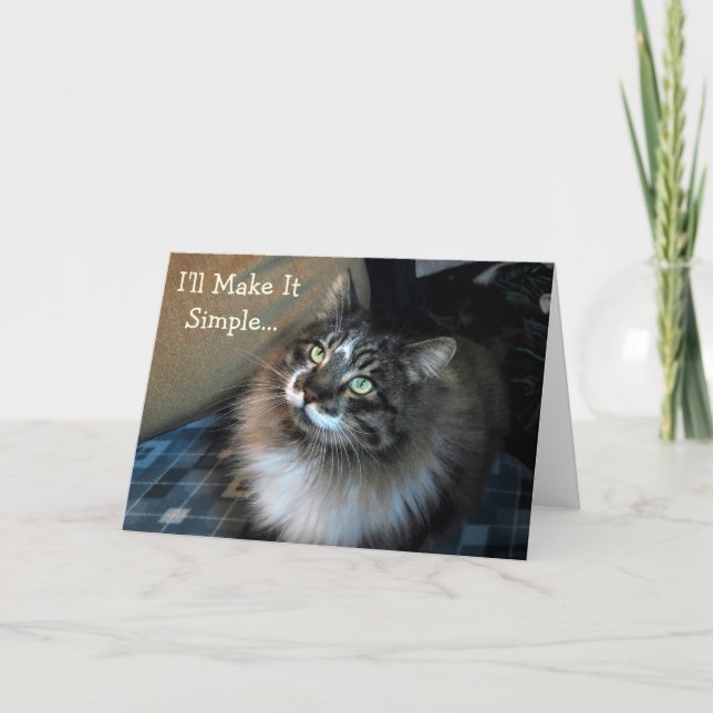 Chat Chat Anniversaire Chat Carte Anniversaire (Devant)