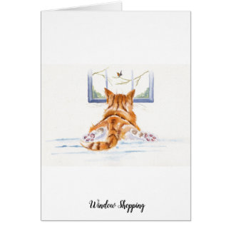 Chat/chaton de gingembre : Lèche-vitrines