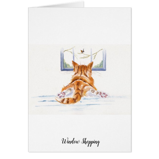 Chat/chaton de gingembre : Lèche-vitrines (Devant)