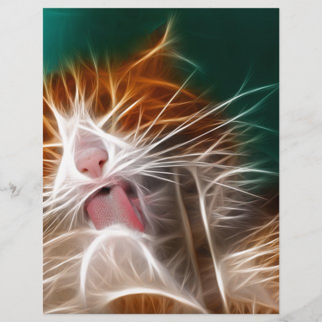 chat chaton minous mignon animal familier ronron m (Devant)