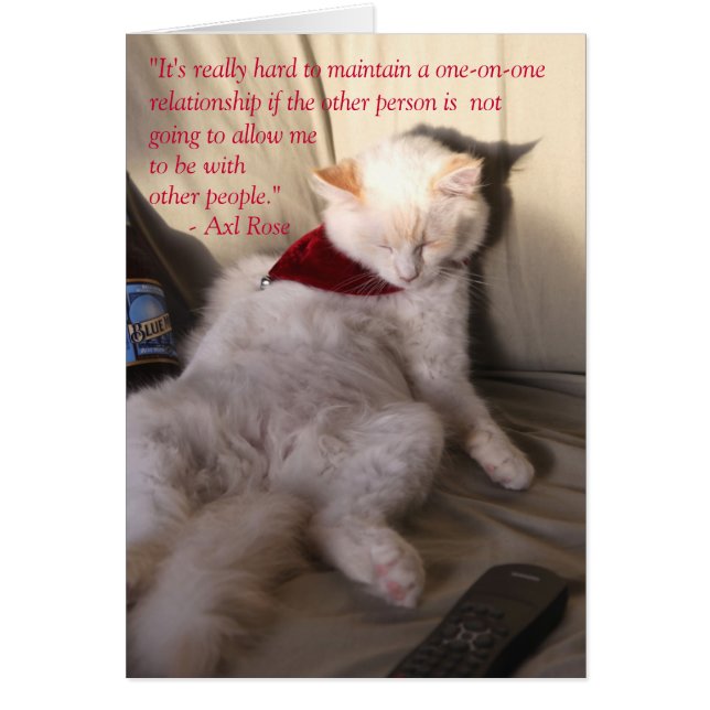 Chat comme Axl Rose sur la monogamie : (Devant)