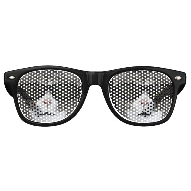 Chat cool Avec Lunettes De Soleil Noir (Devant)