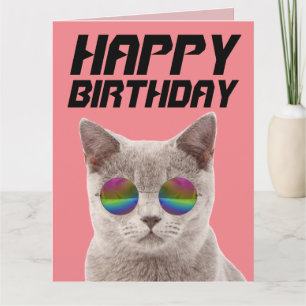 CHAT COOL D'ANNIVERSAIRE AVEC GRANDES CARTES DE LU