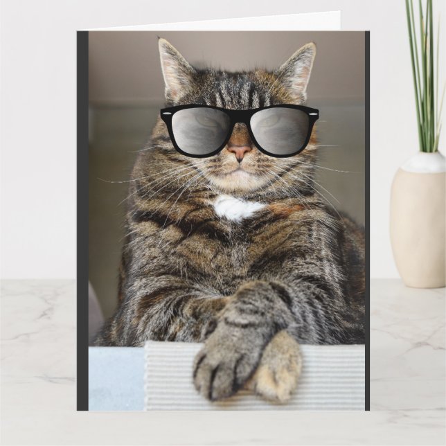 CHAT cool HEUREUX ANNIVERSAIRE SURGRANDES CARTES D (Devant)