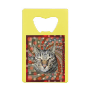 Chat cool - VOUS ACCEPTEZ Votre Cadeau !