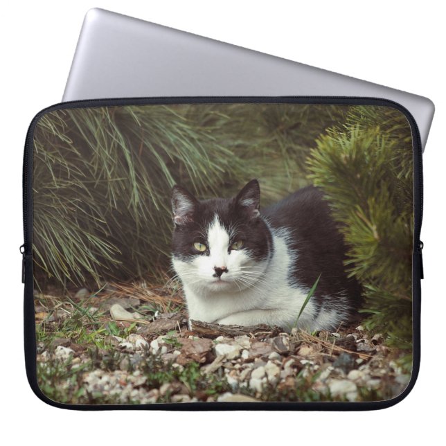 Chat courte - Sac (Devant)