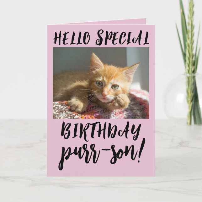CHAT D'ANNIVERSAIRE GINGER KITTEN CARTE DE RECONNA (Devant)