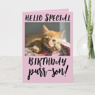CHAT D'ANNIVERSAIRE GINGER KITTEN CARTE DE RECONNA