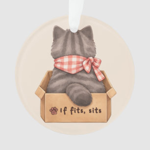 Chat dans la boîte