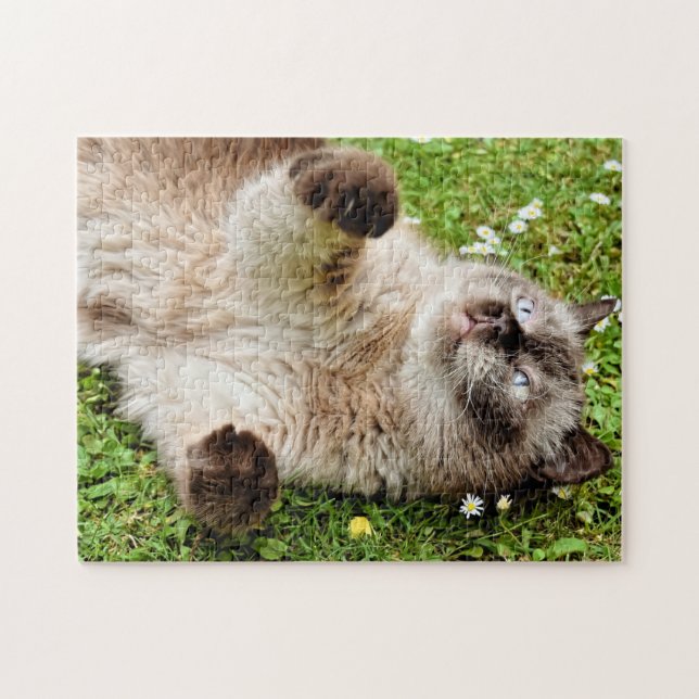 Chat dans le Puzzle du jardin (Horizontal)