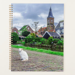 Chat dans le village de pêcheurs traditionnel