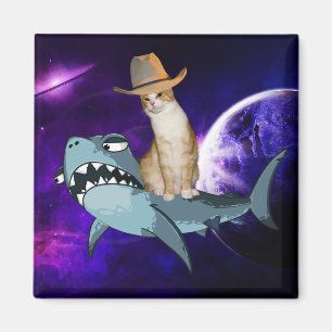 CHAT DANS L'ESPACE ÉQUILIBRER UN MAGNET DE REQUINS