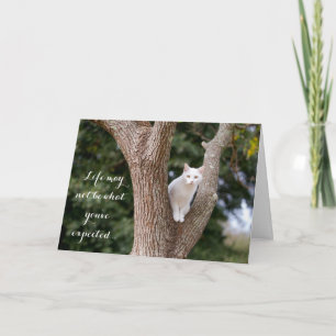 Chat dans un Carte pour notes d'arbre