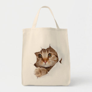 Chat dans un sac !